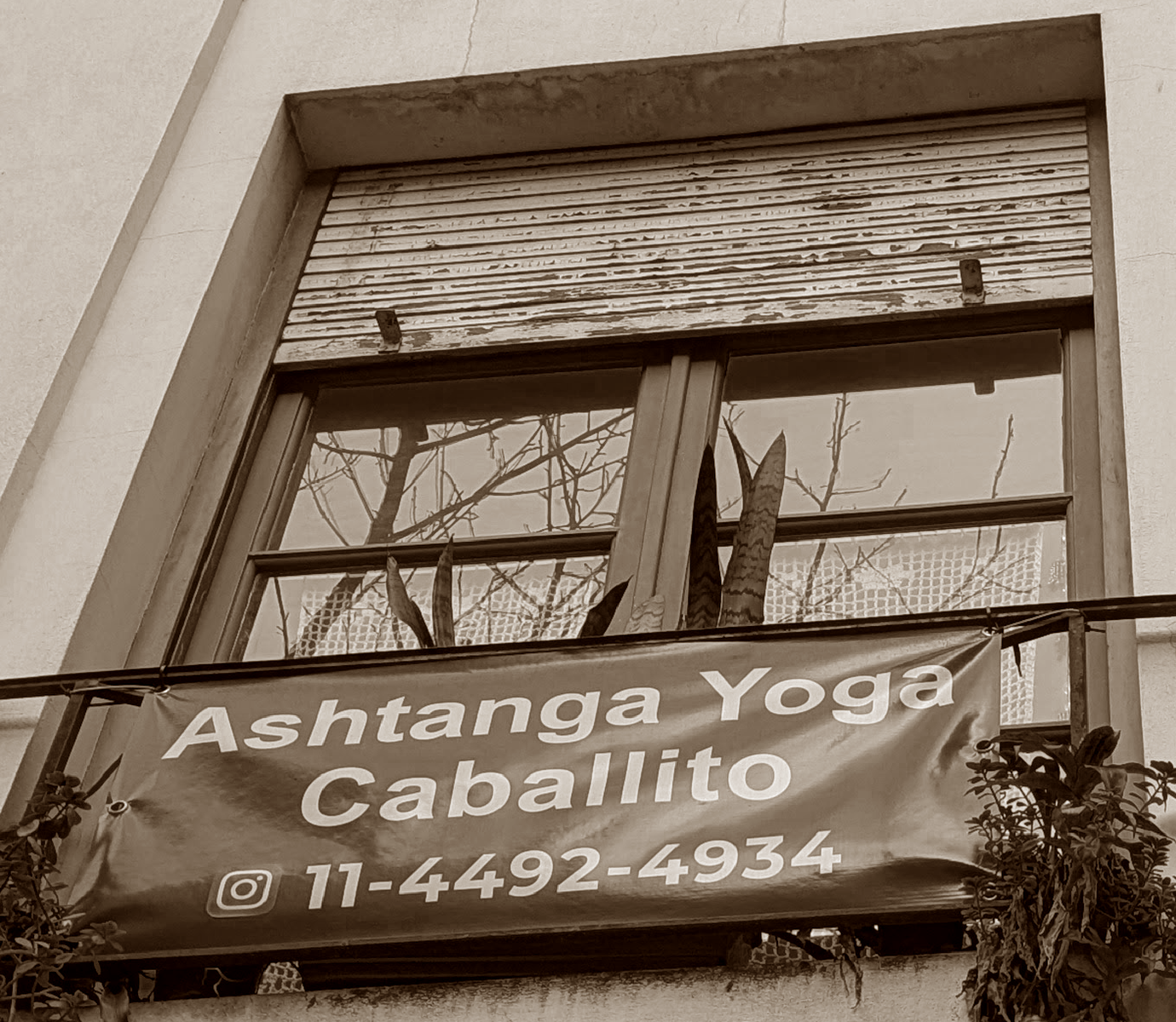 Ashtanga Yoga Caballito